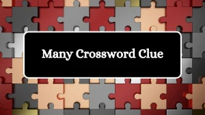 NYT Many Crossword Clue Puzzle Answer from October 04, 2024