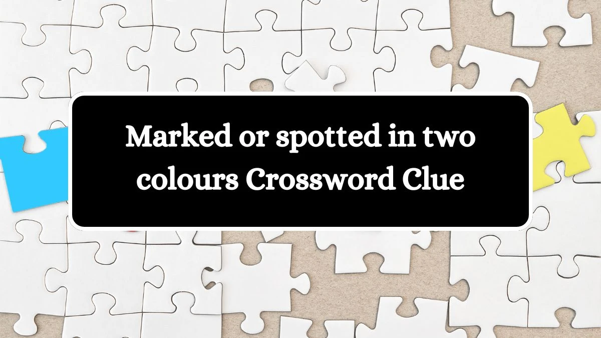 Irish Daily Mail Quick Marked or spotted in two colours Crossword Clue Puzzle Answer from October 18, 2024