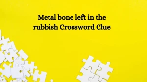 Metal bone left in the rubbish Crossword Clue Answers on October 08, 2024