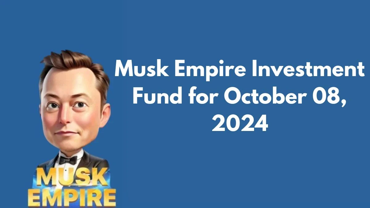 Musk Empire Investment Fund for October 08, 2024