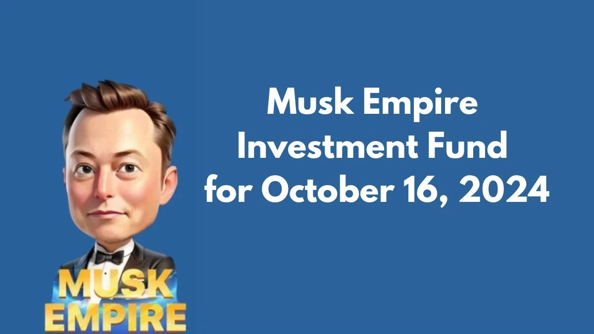 Musk Empire Investment Fund for October 16, 2024