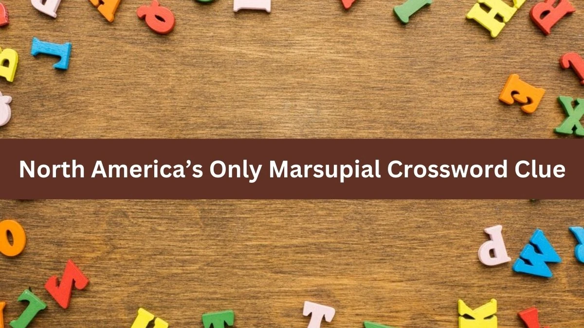 North America’s Only Marsupial NYT Crossword Clue Puzzle Answer on October 01, 2024