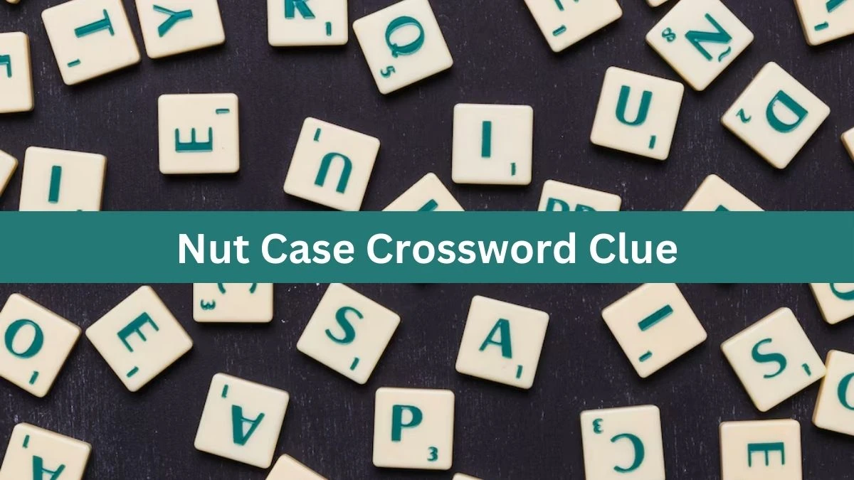 Nut Case 7 Little Words Puzzle Answer from October 03, 2024