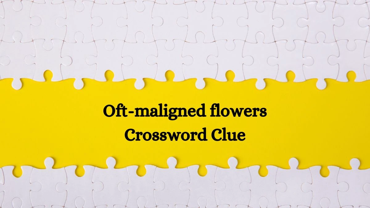 Oft-maligned flowers 7 Little Words Puzzle Answer from October 07, 2024