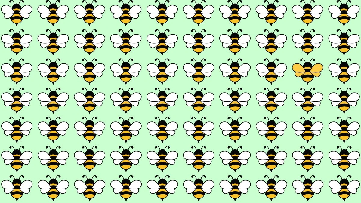 Optical Illusion: If you have 8K Vision Spot the Odd Bee in 8 Secs