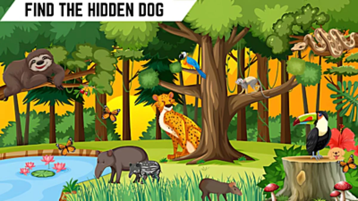 Optical Illusion IQ Test: Only X-Ray Vision Can Spot the Hidden Dog in 8 Secs