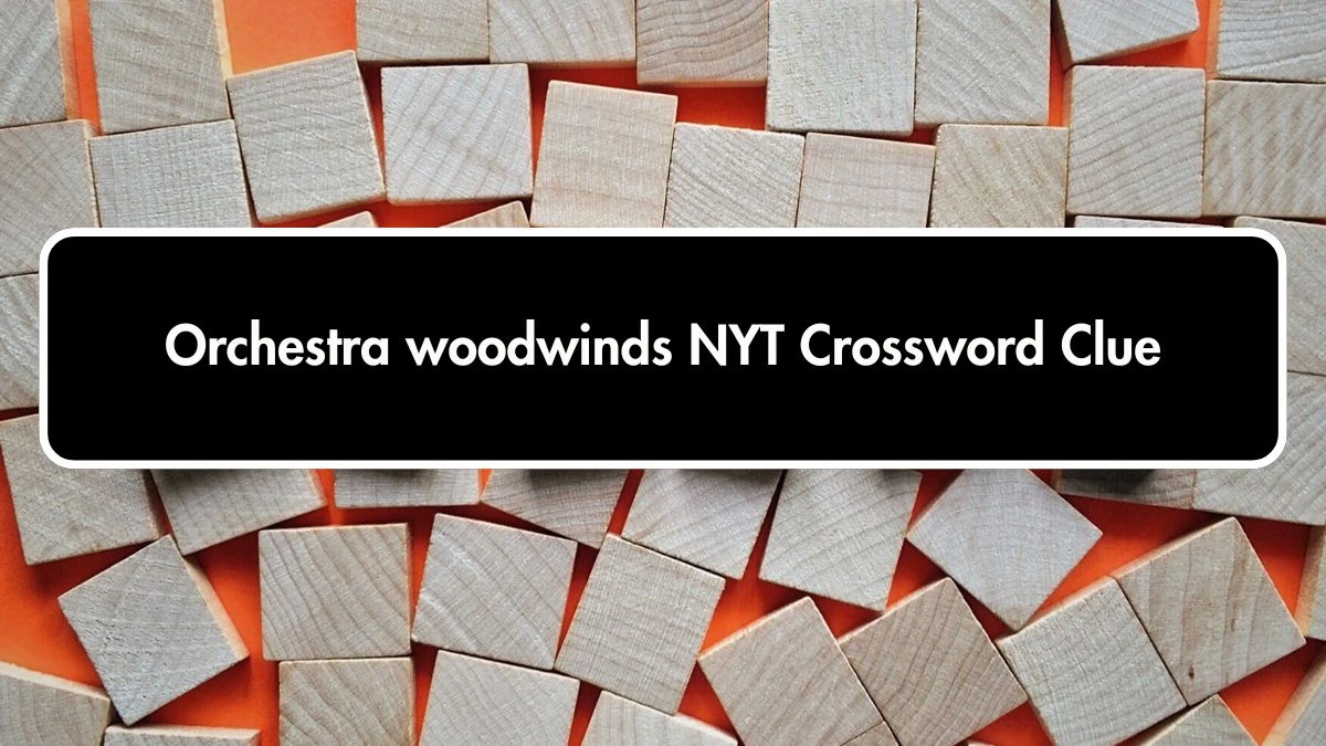 Orchestra woodwinds NYT Crossword Clue Puzzle Answer on October 01, 2024