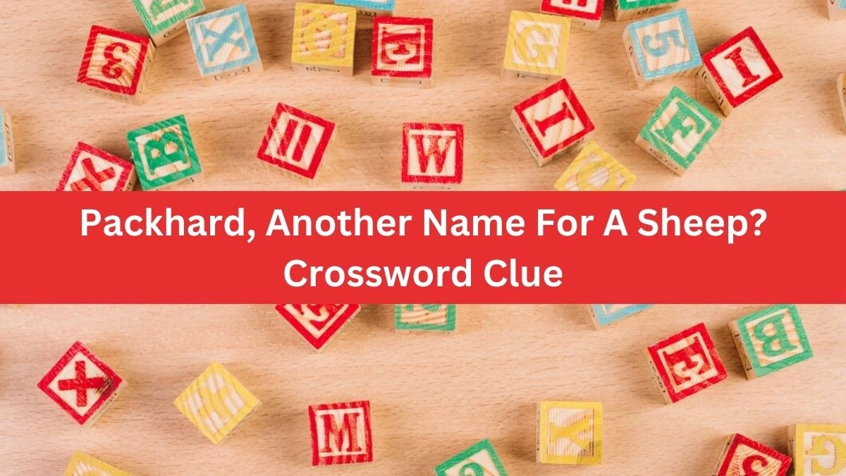 Packhard, Another Name For A Sheep? Crossword Clue Puzzle Answer from October 04, 2024