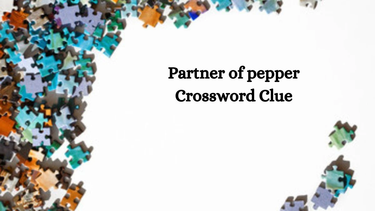 Partner of pepper Daily Commuter Crossword Clue Puzzle Answer from October 16, 2024