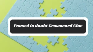 Irish Daily Mail Quick Paused in doubt Crossword Clue Puzzle Answer from October 28, 2024