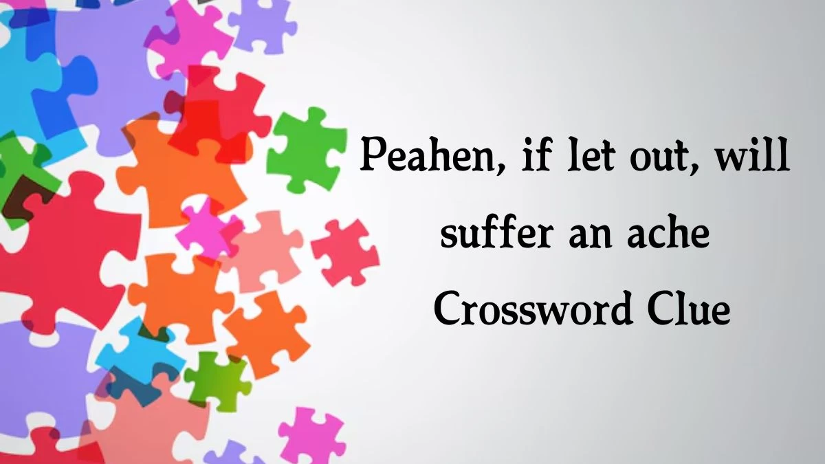 Peahen, if let out, will suffer an ache (4,3,4) Crossword Clue Puzzle Answer from October 08, 2024