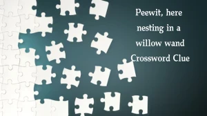 Peewit, here nesting in a willow wand Crossword Clue Puzzle Answer from October 07, 2024