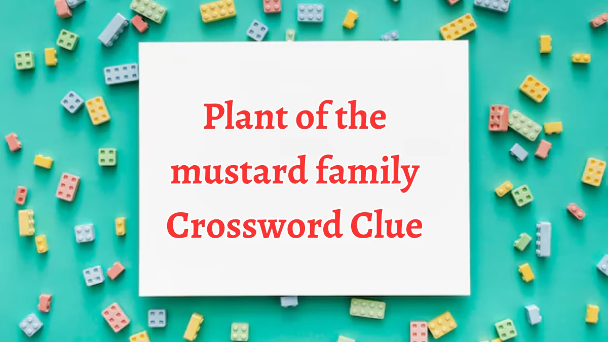 Plant of the mustard family NYT Crossword Clue Puzzle Answer on October 05, 2024