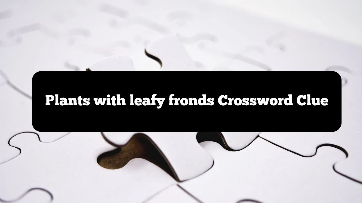 Plants with leafy fronds NYT Crossword Clue