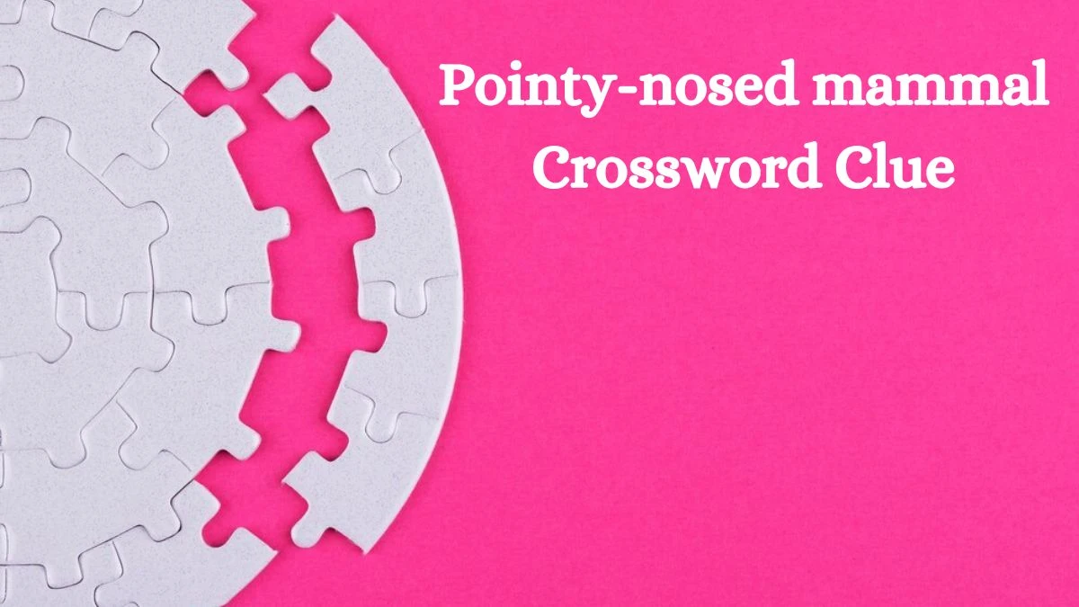 Pointy-nosed mammal Daily Commuter Crossword Clue Puzzle Answer from October 11, 2024