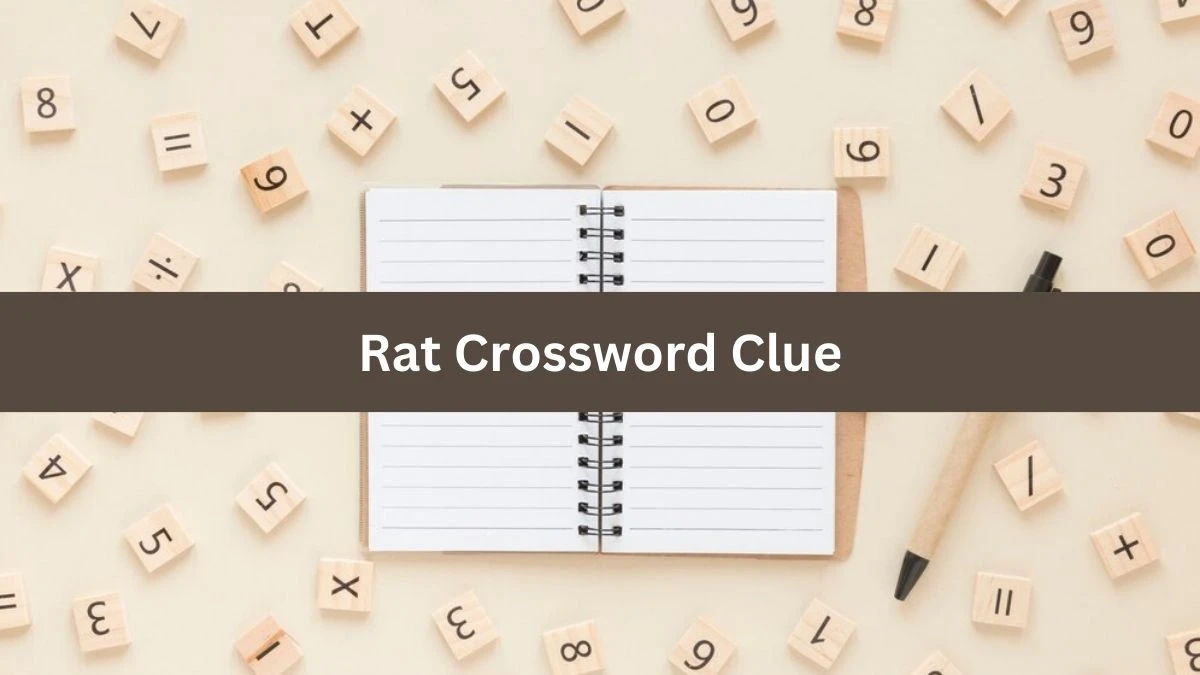 NYT Rat Crossword Clue Puzzle Answer from October 05, 2024