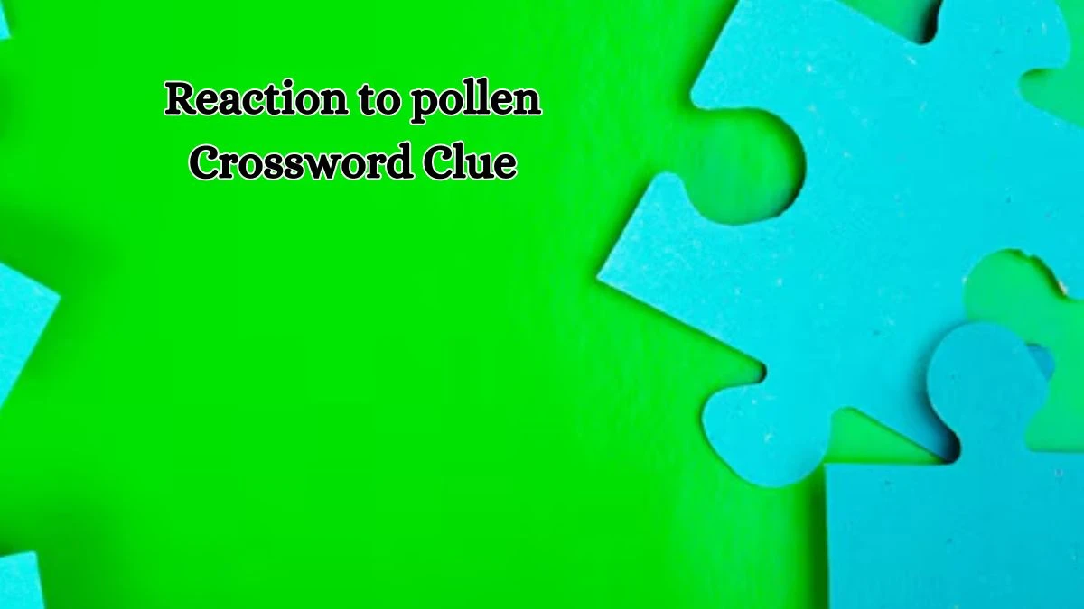 Daily Commuter Reaction to pollen Crossword Clue 8 Letters Puzzle Answer from October 17, 2024