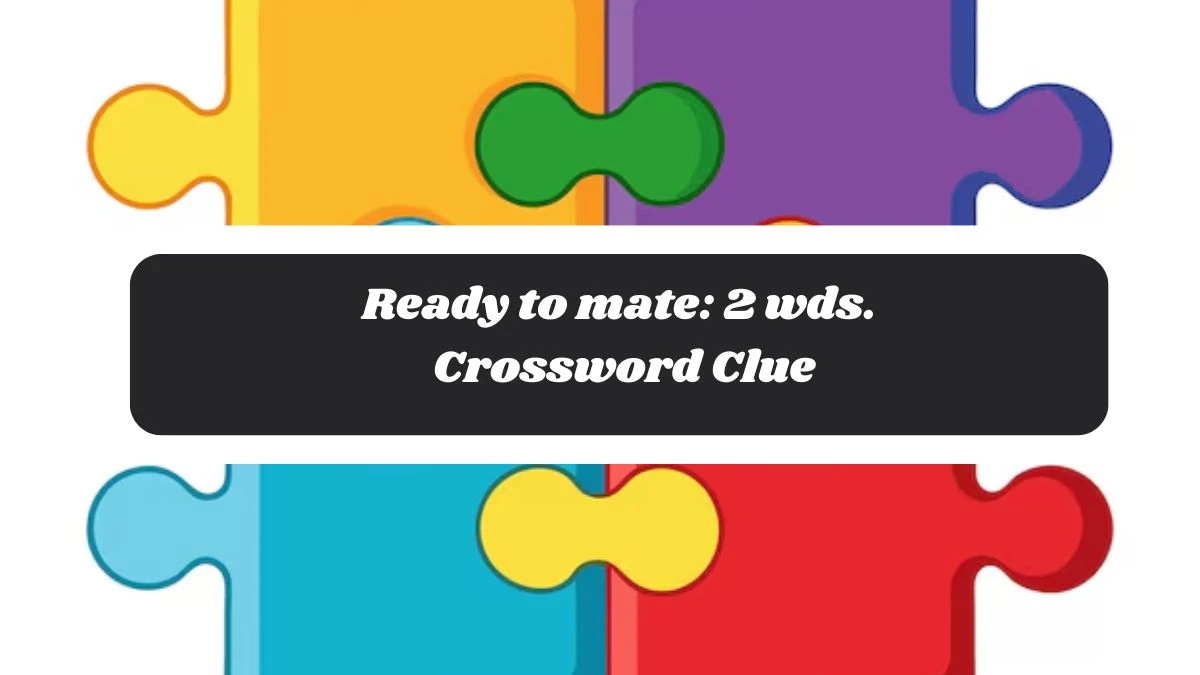 Ready to mate: 2 wds. Daily Commuter Crossword Clue Puzzle Answer from October 29, 2024