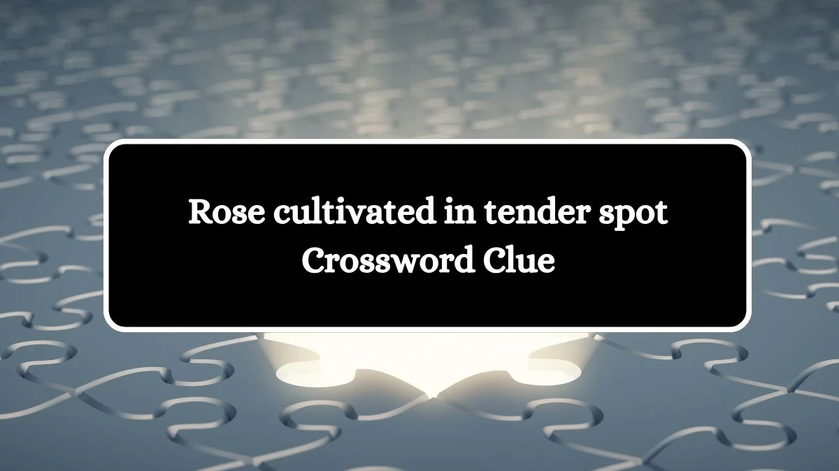 Rose cultivated in tender spot Crossword Clue Answers on October 19, 2024