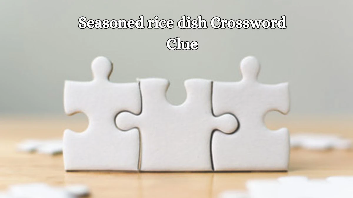 Seasoned rice dish Daily Commuter Crossword Clue Puzzle Answer from October 16, 2024