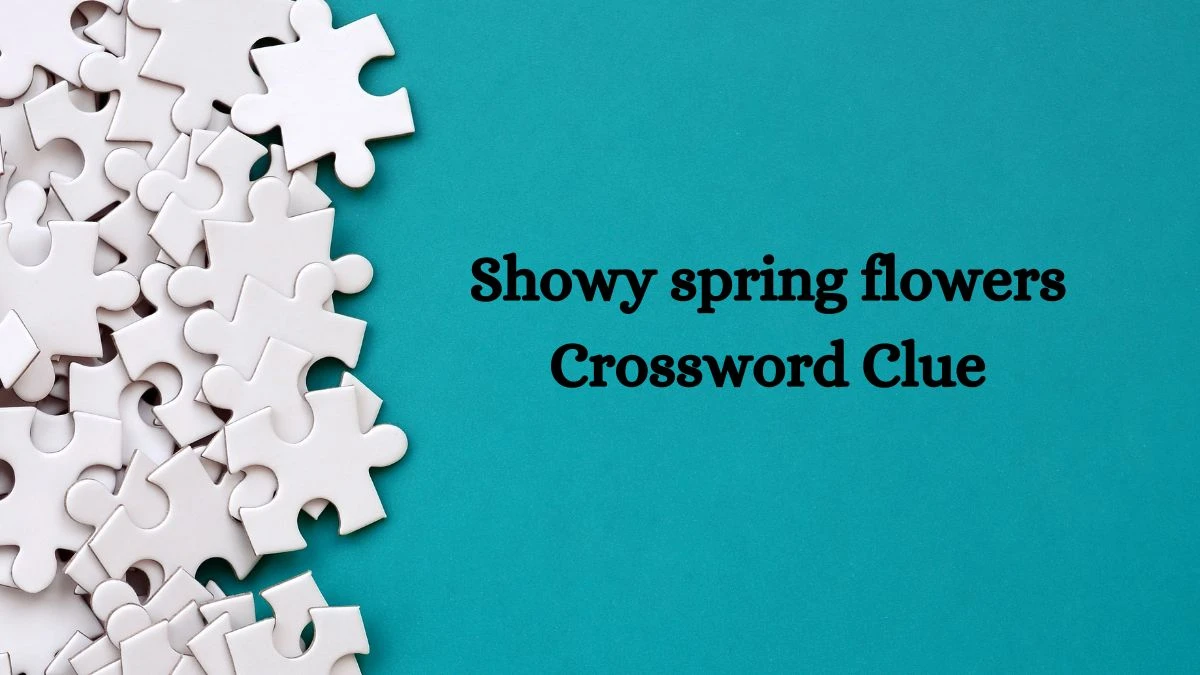 Showy spring flowers Daily Commuter Crossword Clue Puzzle Answer from October 10, 2024