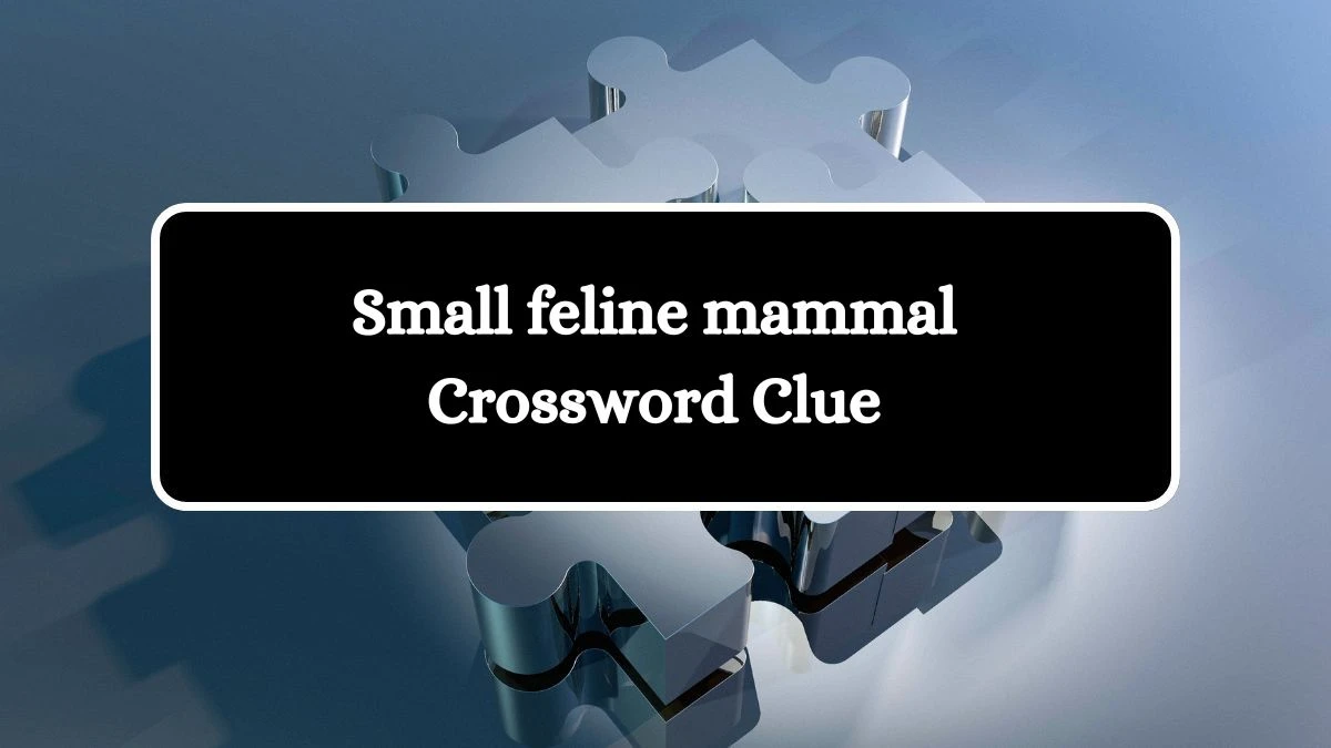 Irish Daily Mail Quick Small feline mammal 3 Letters Crossword Clue Puzzle Answers from October 17, 2024