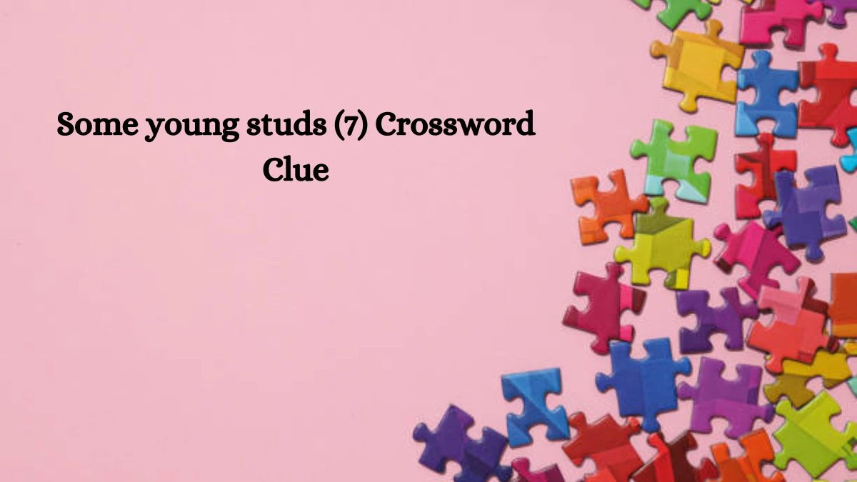 Some young studs NYT Crossword Clue Puzzle Answer from October 03, 2024