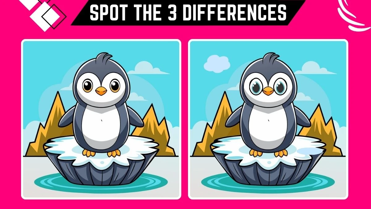 Spot the 3 Difference Game: Only Genius with Eagle Eyes Can Spot the 3 Differences in this Penguin Image in 10 Secs