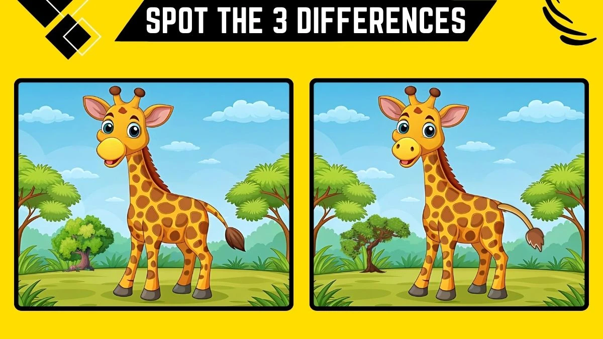 Spot the 3 Differences: Only Extra Sharp Eyes Can Spot the 3 Differences in this Giraffe Image in 10​ Secs​