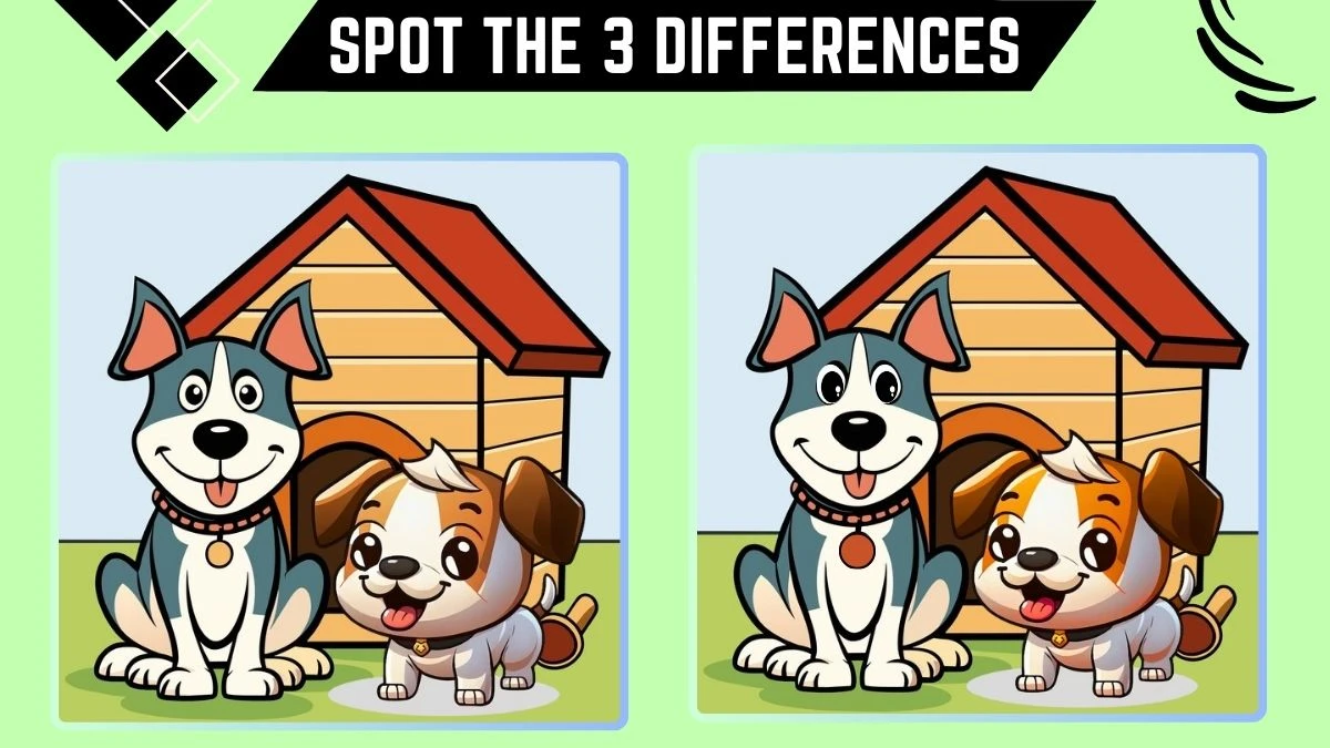 Spot the 3 Differences: Only Sharp Eyes Can Spot the 3 Differences in this Dog and Puppy Image in 14 Secs​