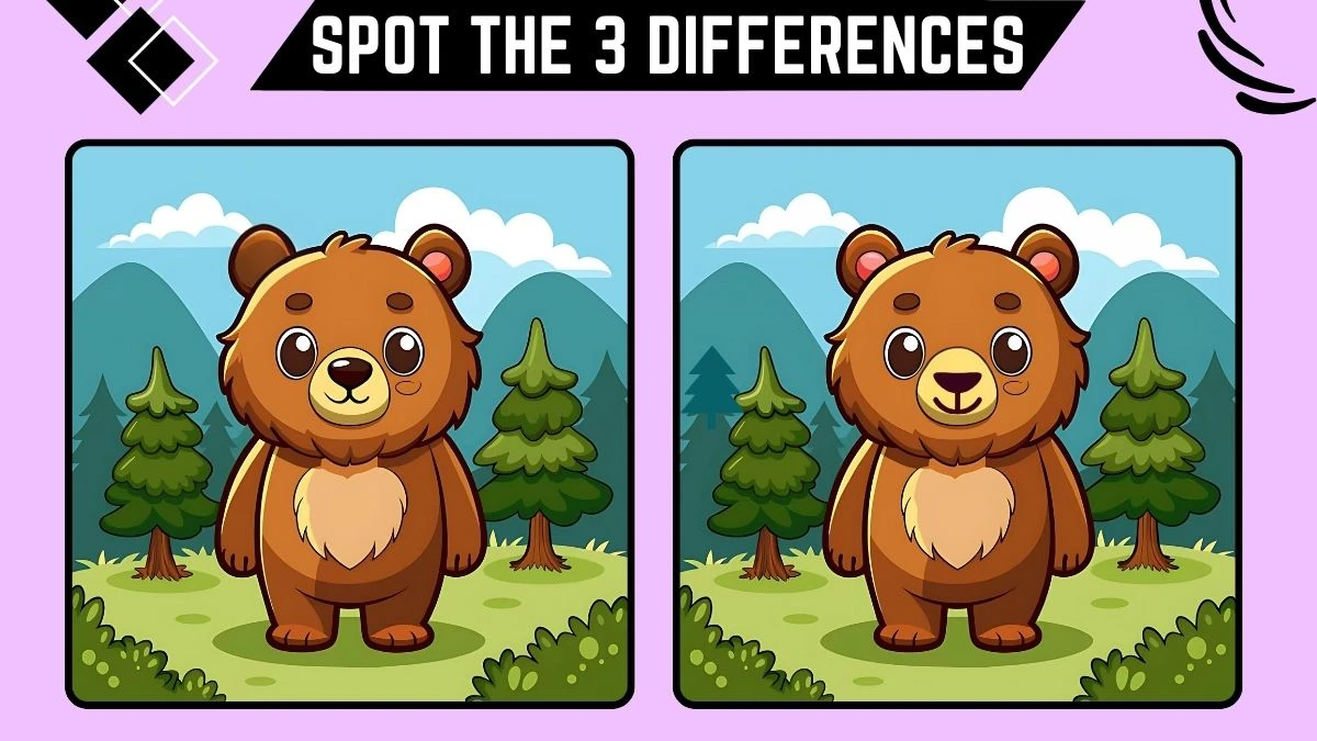 Spot the Difference Game: Only eagle Eyes Can Spot the 3 Differences in this Bear Image in 10 Secs