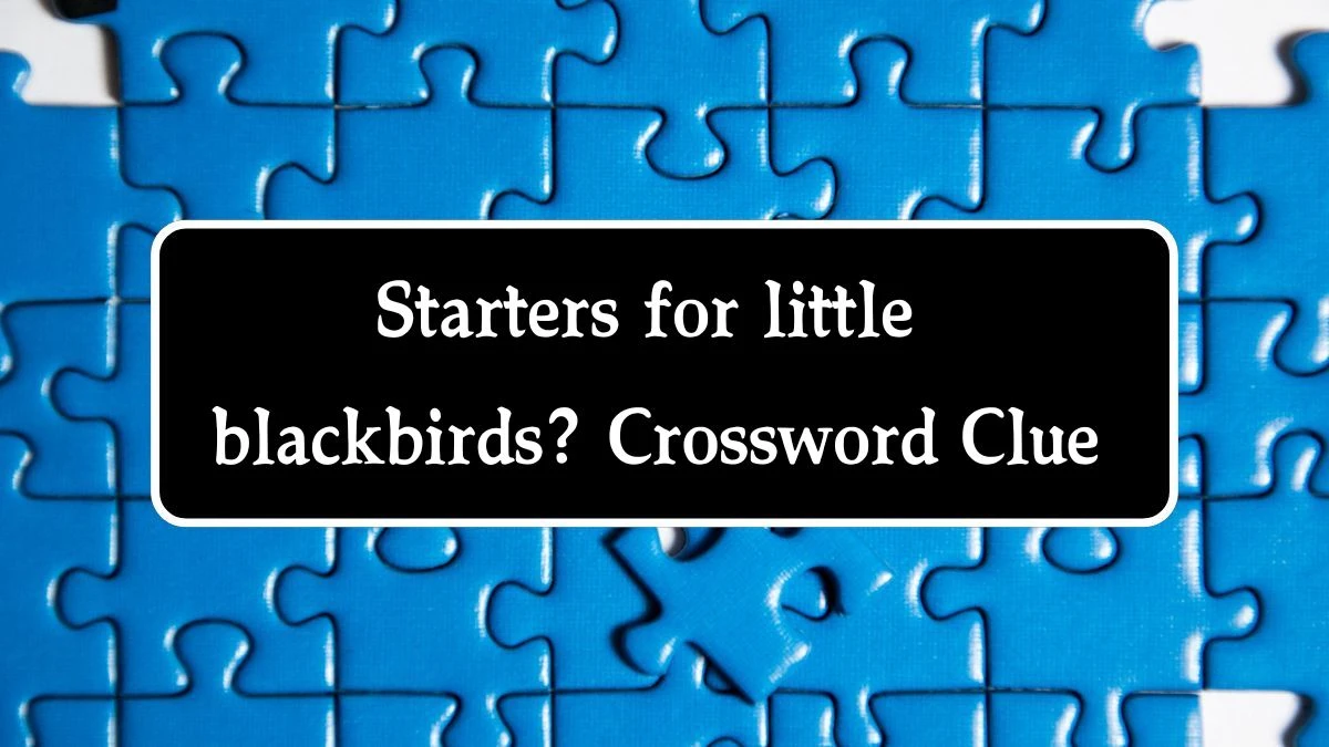 Starters for little blackbirds? Crossword Clue Puzzle Answer from October 14, 2024