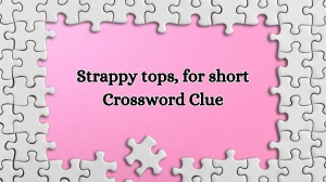 Daily Commuter Strappy tops, for short Crossword Clue 5 Letters Puzzle Answer from October 11, 2024