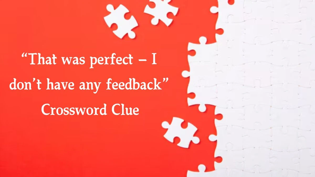 NYT “That was perfect — I don’t have any feedback” Crossword Clue Puzzle Answer from October 18, 2024