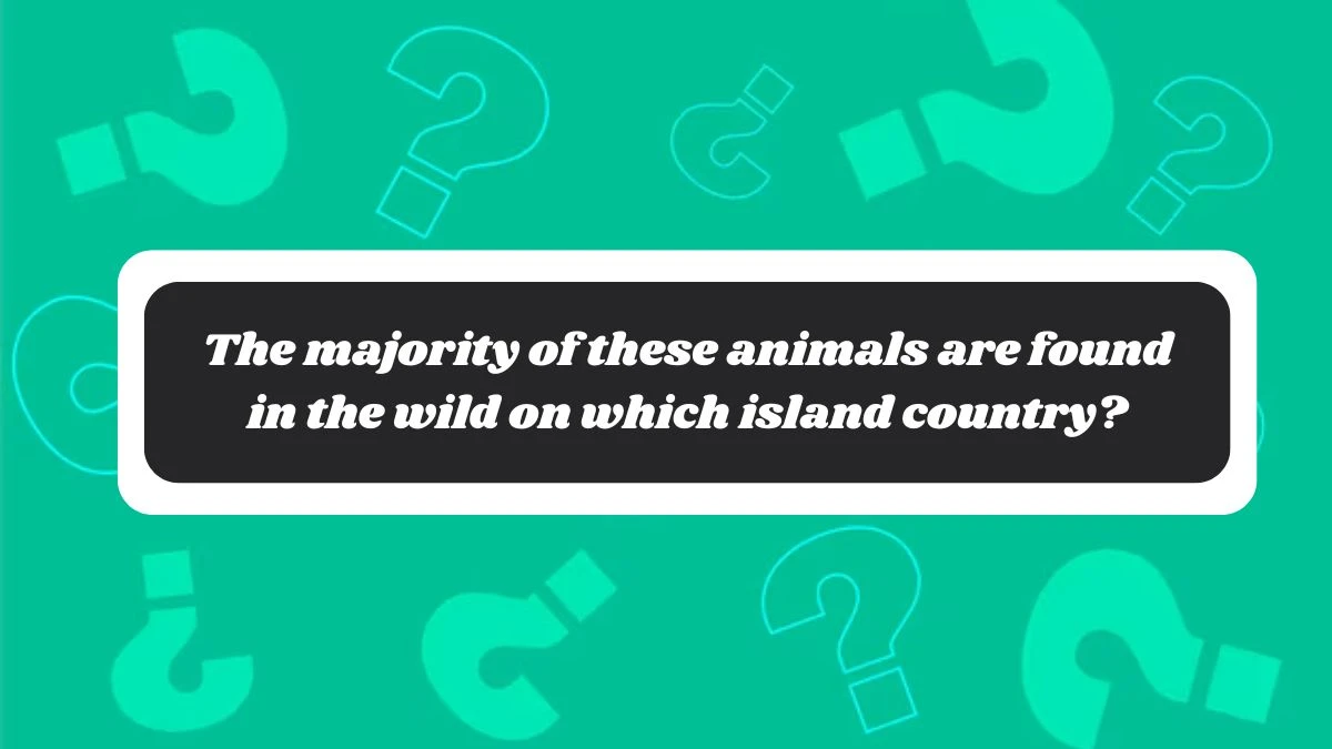 The majority of these animals are found in the wild on which island country? Amazon Quiz Answer Today October 29, 2024