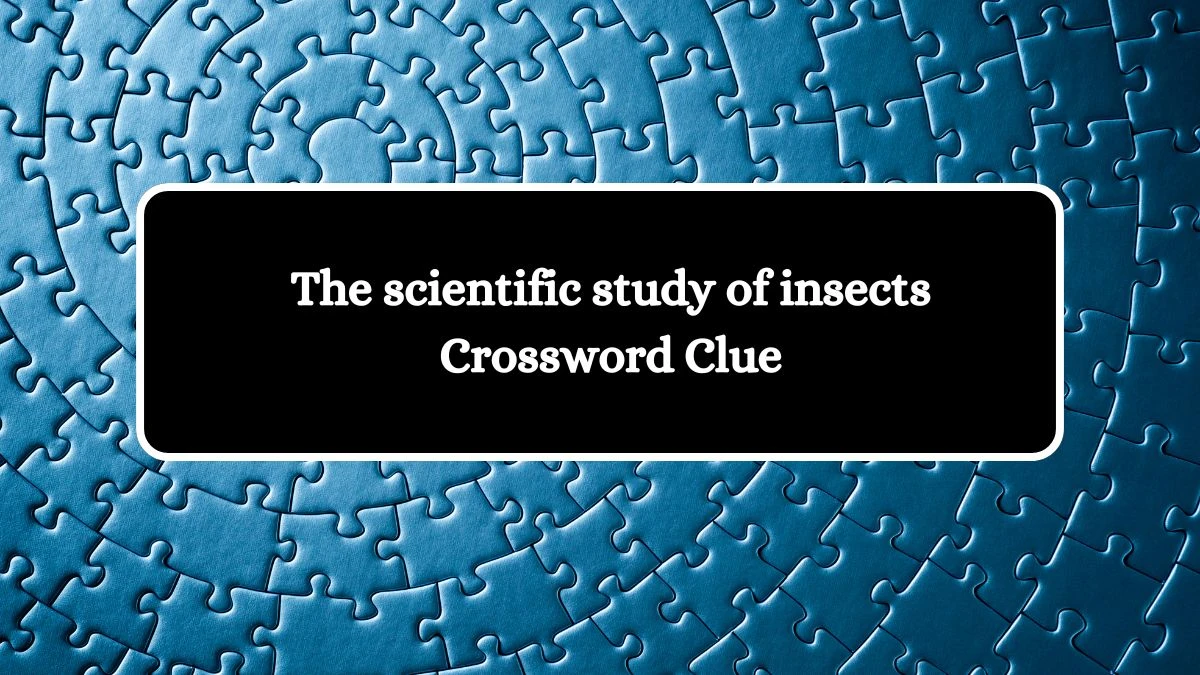 The scientific study of insects Crossword Clue Puzzle Answer from October 17, 2024