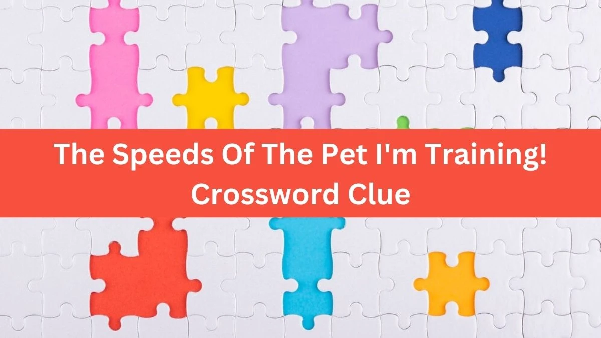 The Speeds Of The Pet I'm Training! Crossword Clue Puzzle Answer from October 03, 2024