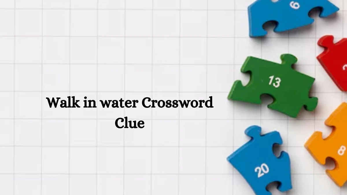 Walk in water Daily Commuter Crossword Clue Puzzle Answer from October 17, 2024