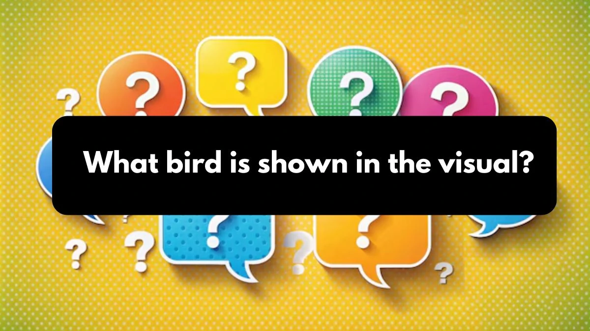 What bird is shown in the visual? Amazon Quiz Answer Today October 25, 2024