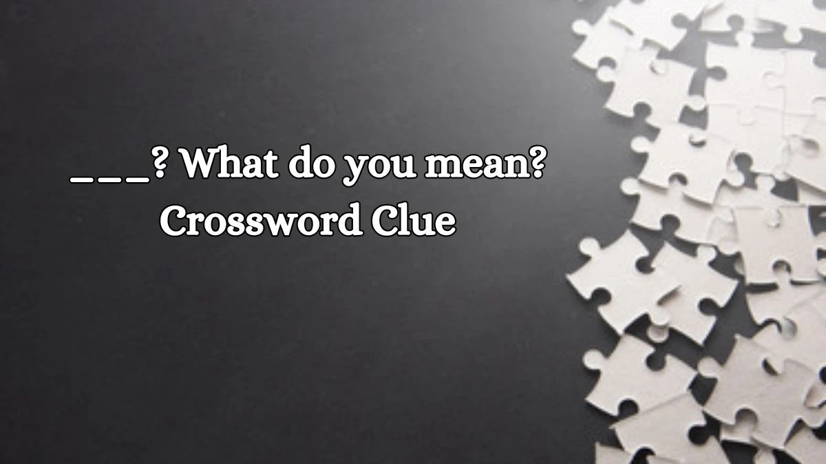 ___? What do you mean? Daily Themed Crossword Clue Puzzle Answer from October 19, 2024