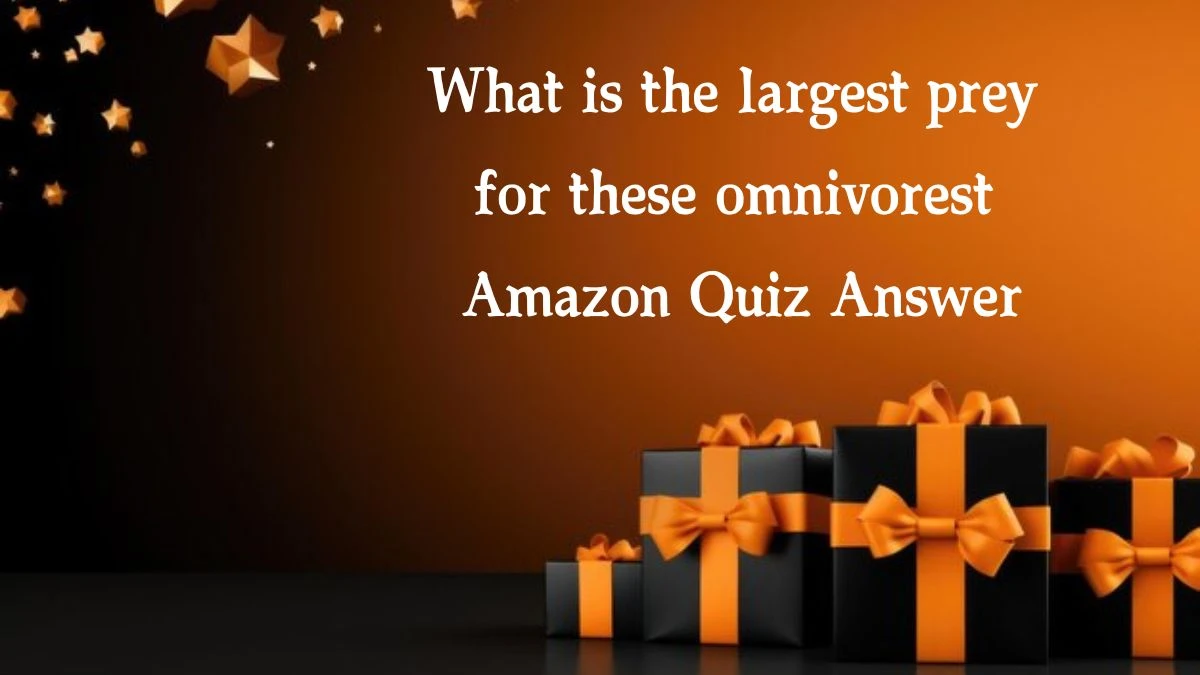 What is the largest prey for these omnivorest Amazon Quiz Answer Today October 15, 2024