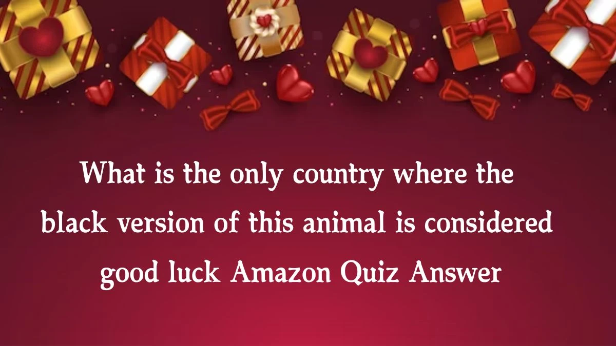 What is the only country where the black version of this animal is considered good luck Amazon Quiz Answer Today October 18, 2024