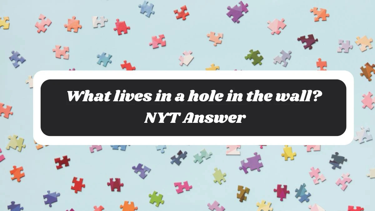 What lives in a hole in the wall? NYT Answer