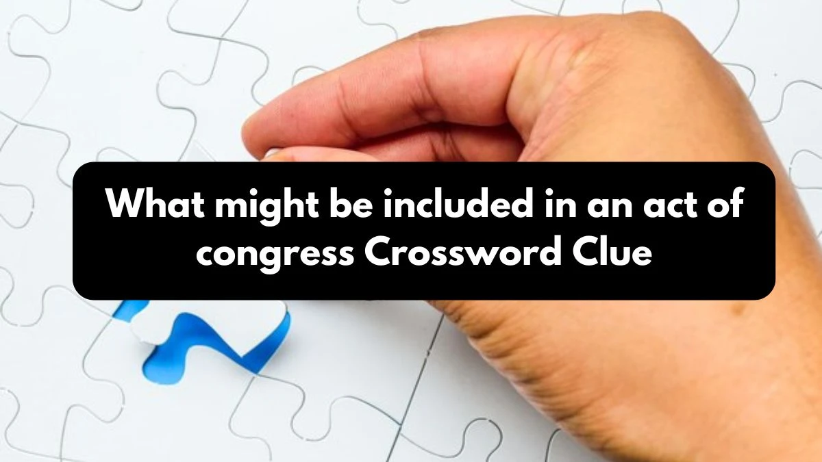 What might be included in an act of congress NYT Crossword Clue Puzzle Answer on October 25, 2024