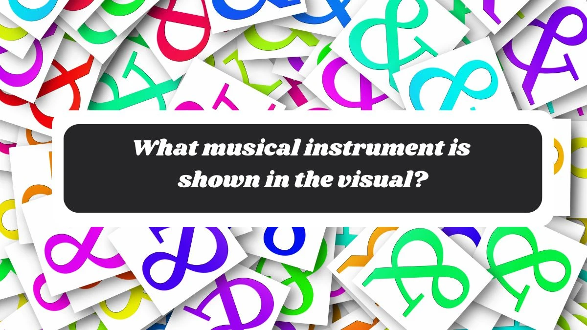 What musical instrument is shown in the visual? Amazon Quiz Answer Today October 30, 2024