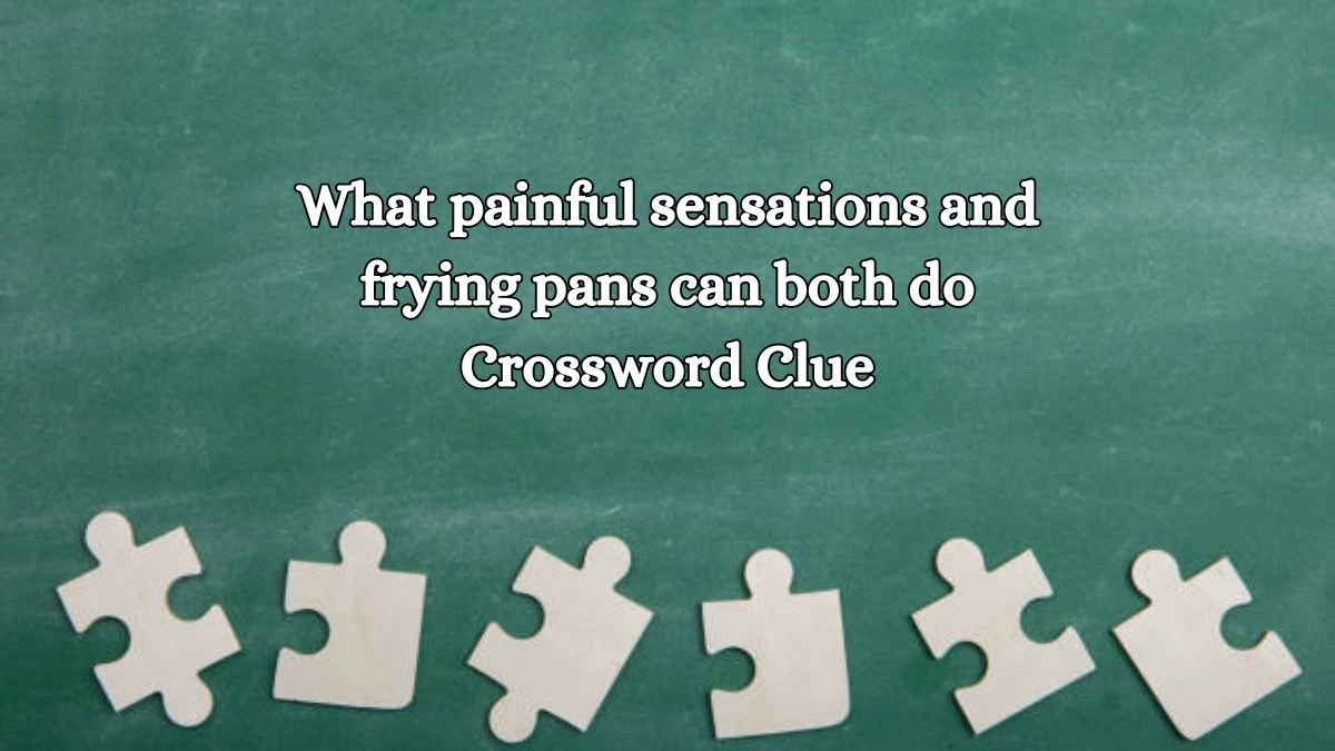 What painful sensations and frying pans can both do NYT Crossword Clue Puzzle Answer on October 18, 2024