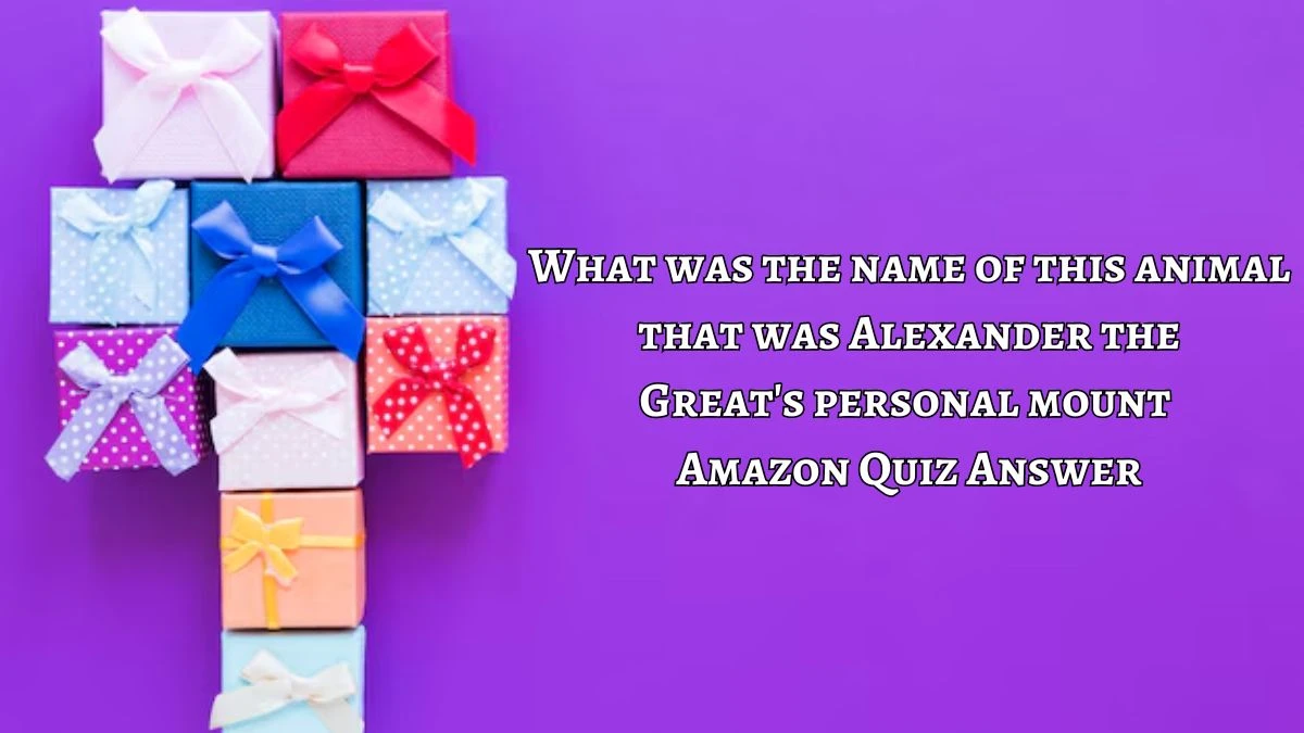 What was the name of this animal that was Alexander the Great's personal mount Amazon Quiz Answer Today October 09, 2024