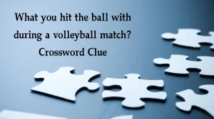 What you hit the ball with during a volleyball match? Daily Themed Crossword Clue Puzzle Answer from October 22, 2024