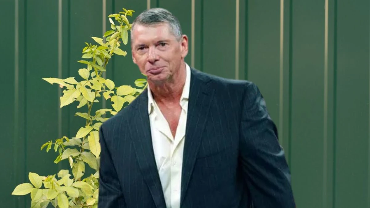 Where is Vince Mcmahon Now? How Much is Vince Mcmahon Networth?