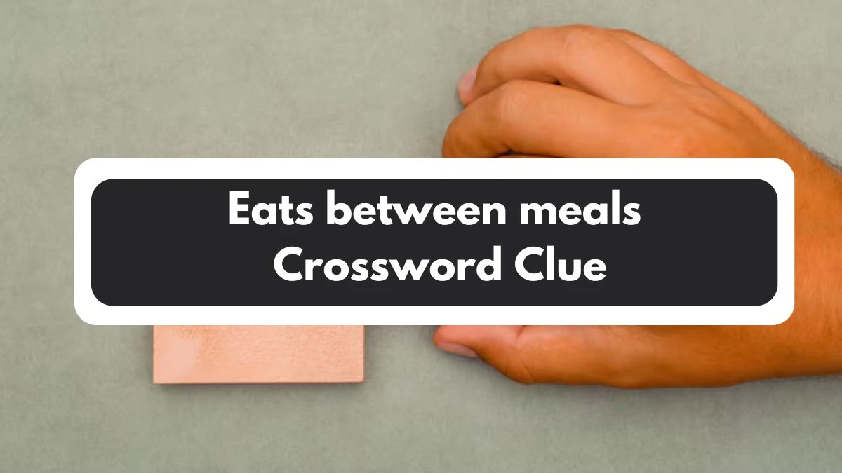 Eats between meals 7 Little Words Puzzle Answer from November 01, 2024